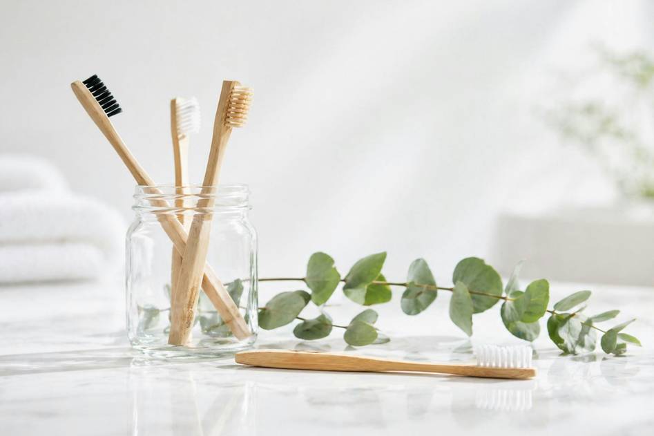 Homepage for Sustainable Living Sustainable Personal Care conditioner bars